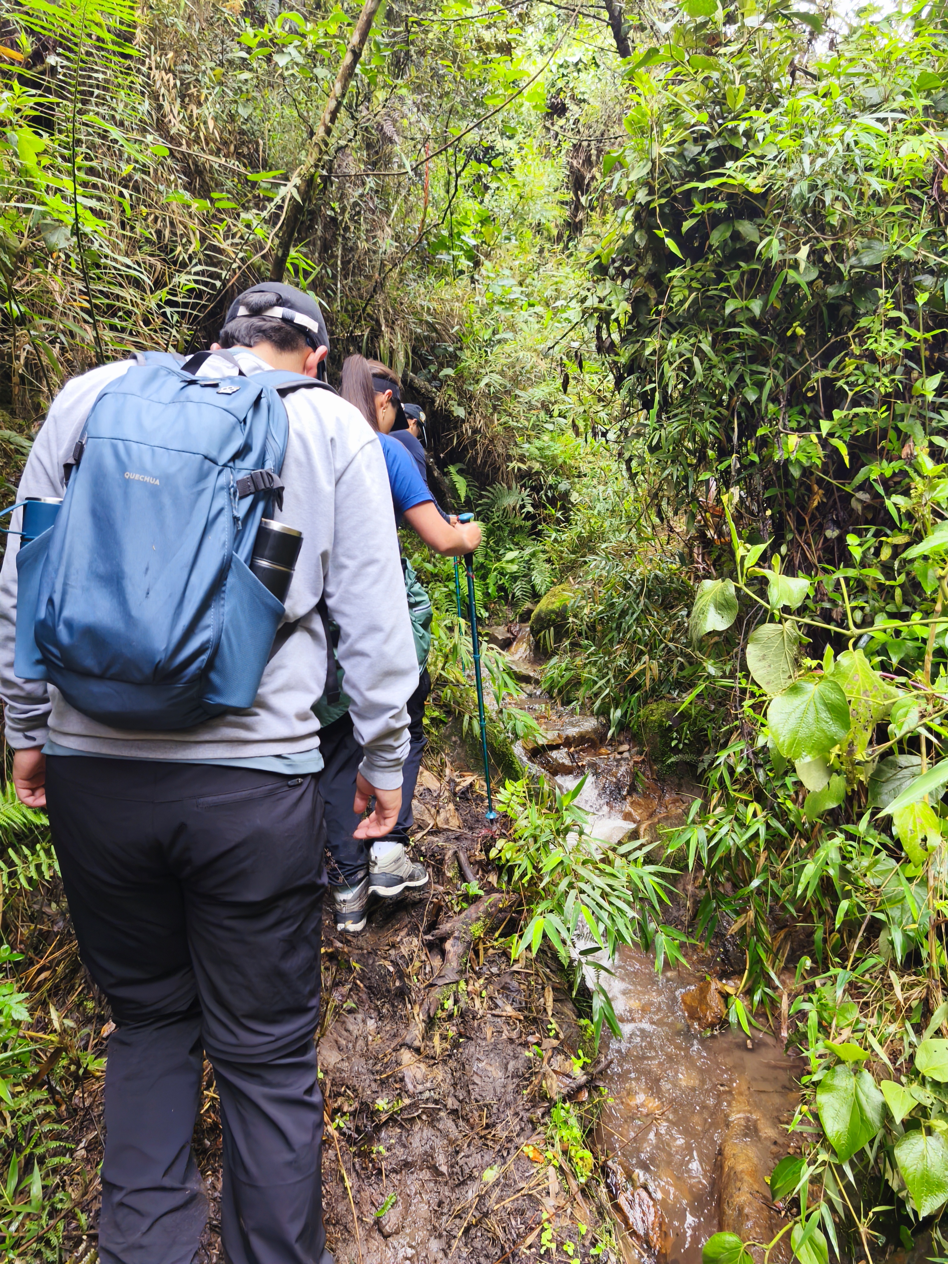 Cerro de las 3 Viejas